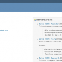 redmine_djerfy